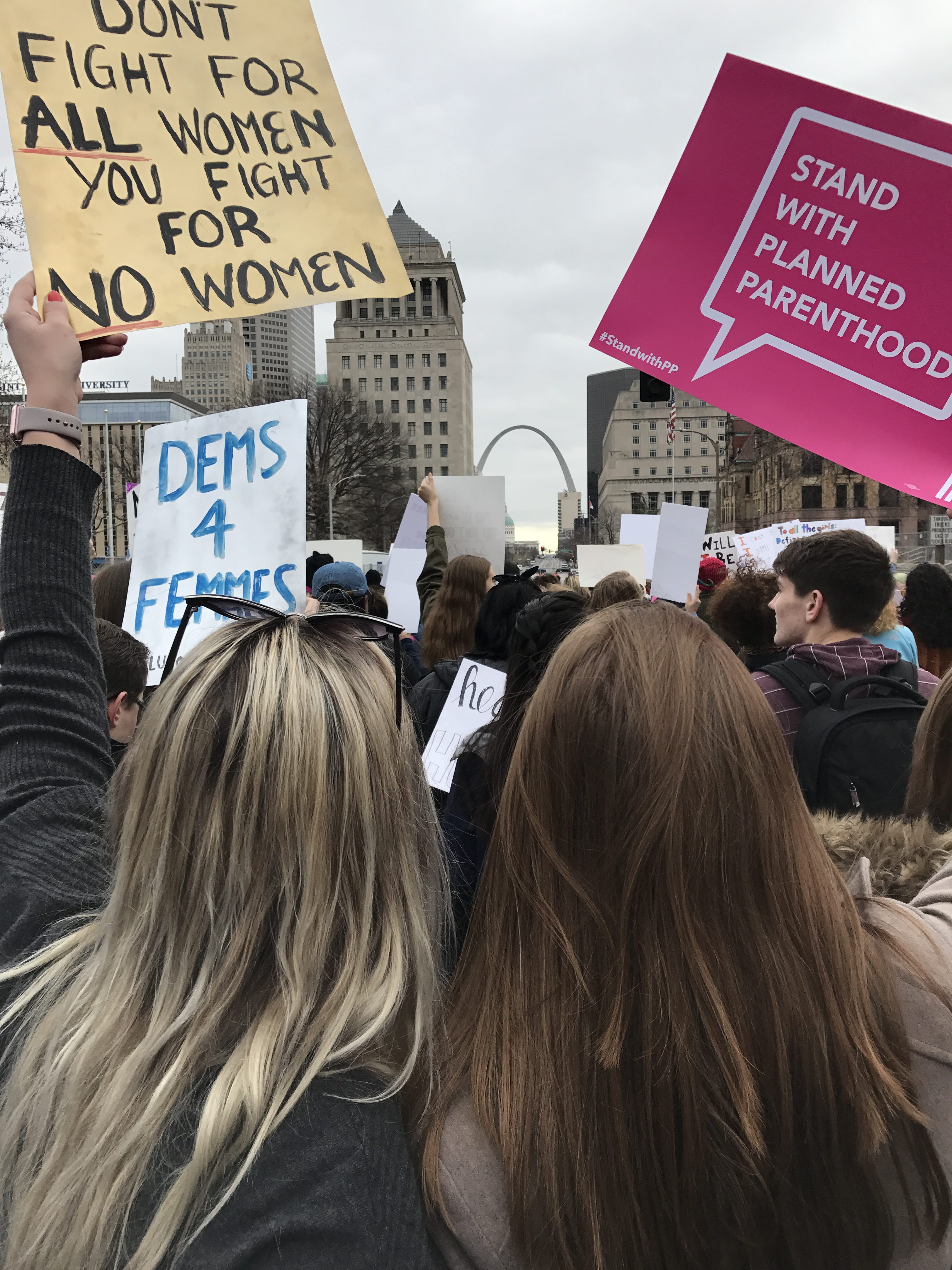 The Women’s March: Protest, Participation, and Polarization by Paige Cook