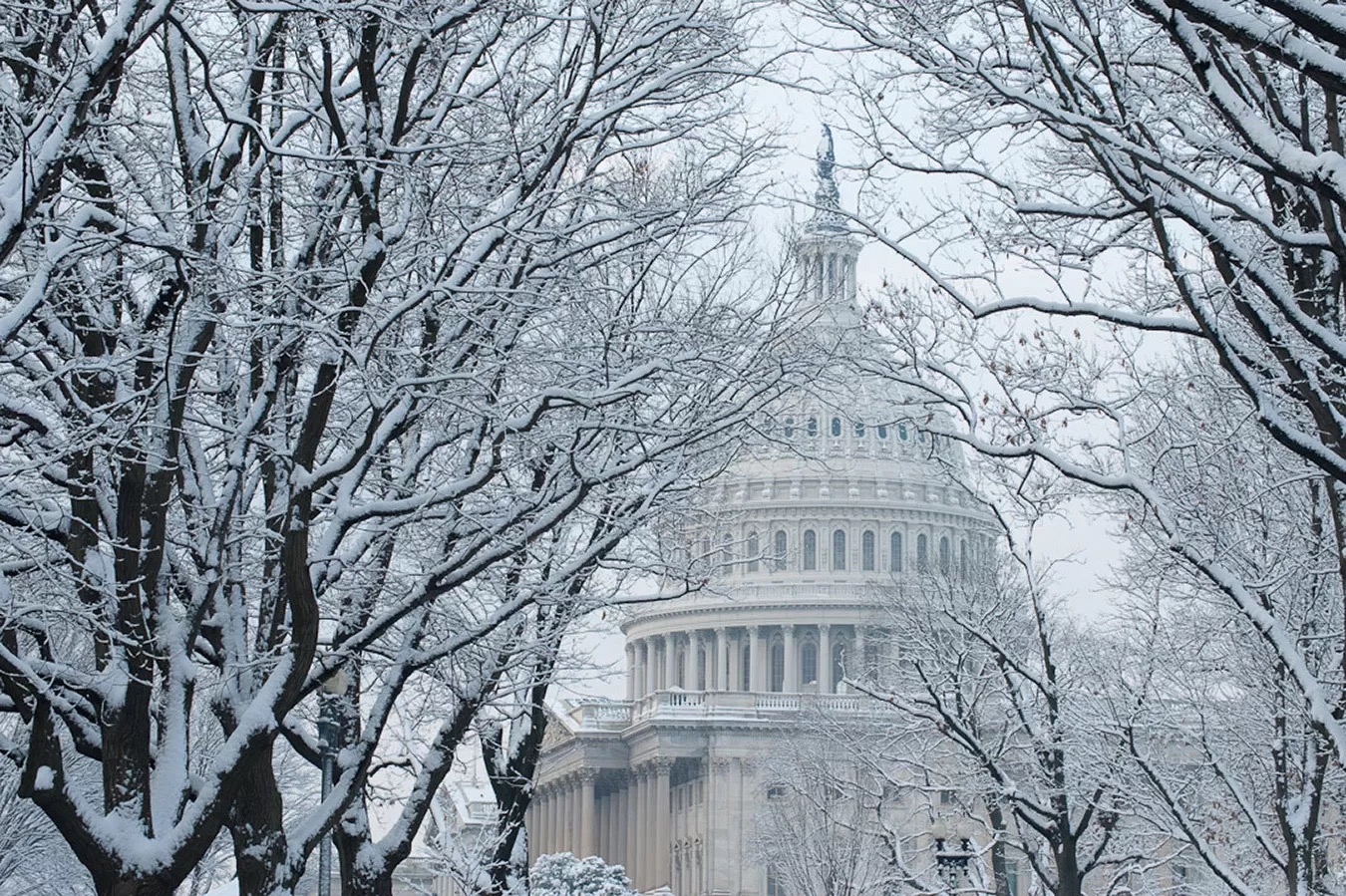 The U.S. Capitol framed by trees in the snow.