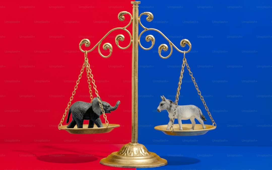 Are you MAGA, even? How Polarization Ties Into Democratic Erosion