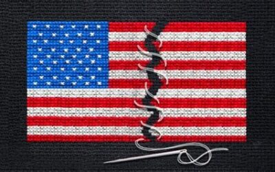 Democracy in America in Historic Decline: What’s Next For the USA?