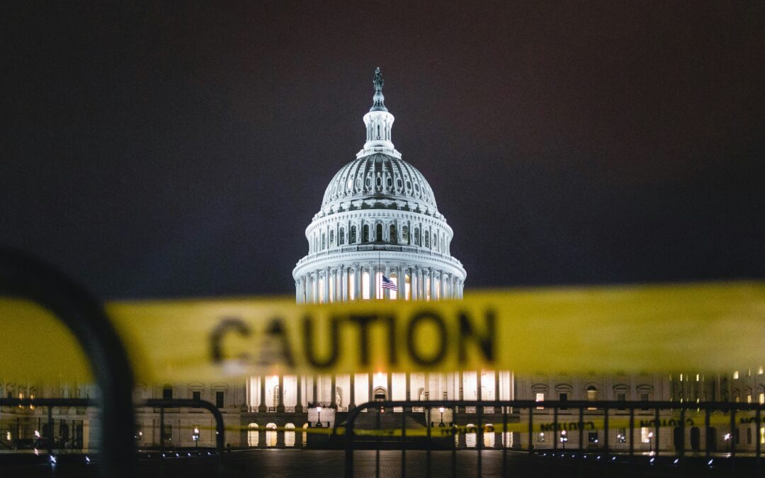 Misinformation: The Role it Plays in the Persistence of the 2020 Election